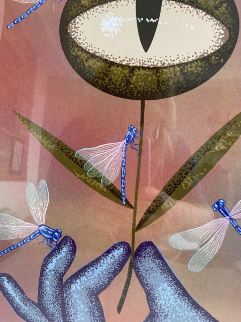 Plakat Soft With Dragonfiles 50 x 70 cm kredowy kolorowy