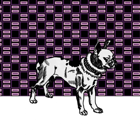 Komplet zasłon zaciemniających FRANCUSKI BULDOG designerskie grafika