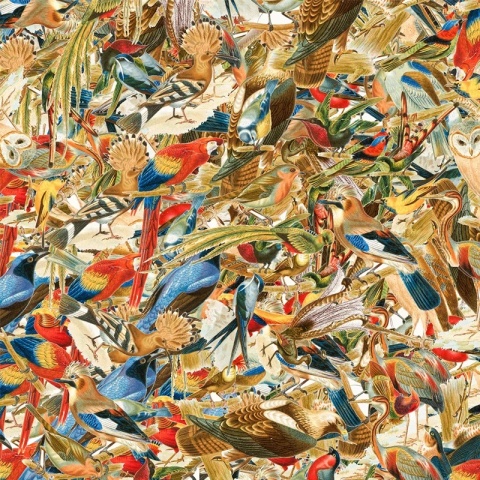 Poduszka dekoracyjna FLYING COMMUNITY 55 x 55 cm welurowa grafika designerska
