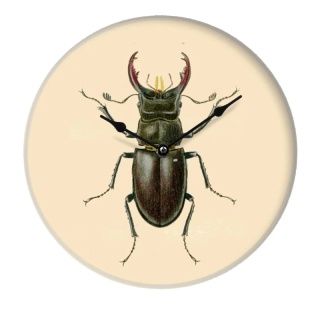 Zegar ścienny INSECT II 29 cm szklany designerska grafika
