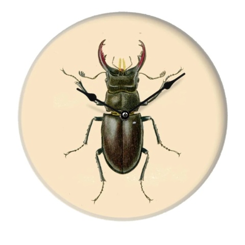 Zegar ścienny INSECT II 29 cm szklany designerska grafika