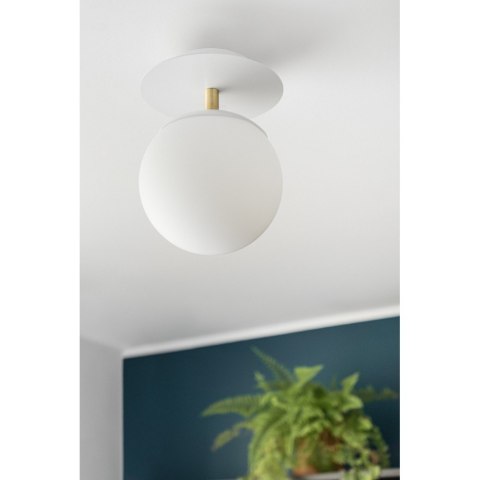 Lampa ścienna PLAAT C biała z mosiądzem szczotkowanym do łazienki, korytarza lub eleganckiej strefy przy lustrze