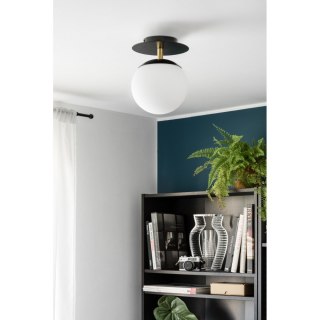 Lampa ścienna PLAAT C mosiądz szczotkowany do salonu, korytarza lub sypialni