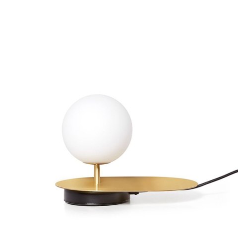 Lampa stołowa HANEA ST mosiądz szczotkowany do salonu, gabinetu lub sypialni
