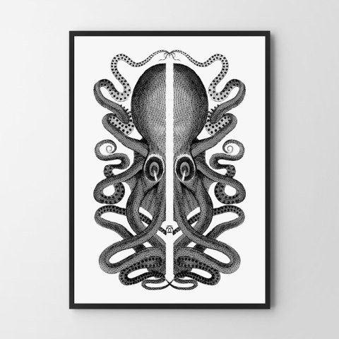 Plakat czarno-biała ośmiornica vintage do salonu lub sypialni