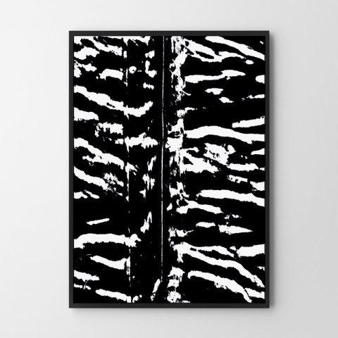 Plakat czarno-biała zebra do salonu lub sypialni