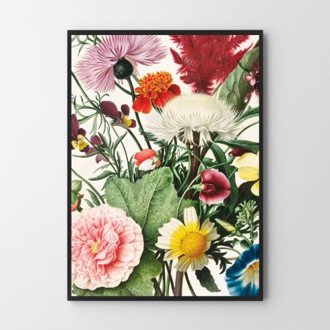 Plakat polne kwiaty dekoracyjny do salonu lub sypialni