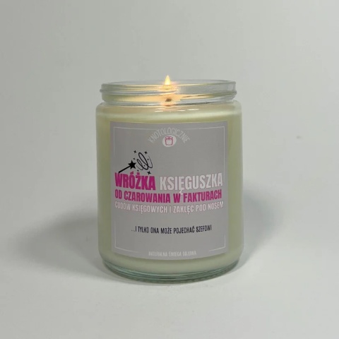 Wróżka księguszka od czarowania w fakturach - świeca sojowa 250 ml