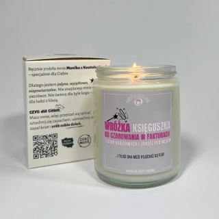 Wróżka księguszka od czarowania w fakturach - świeca sojowa 250 ml