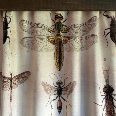 Komplet 2 szt zasłon zaciemniających INSECT ROUTE welurowe designerskie z grafiką