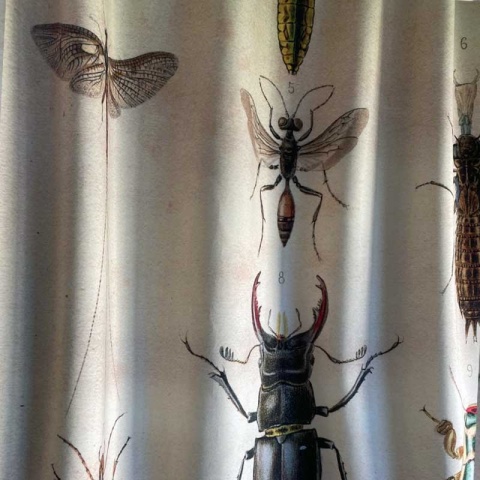 Komplet 2 szt zasłon zaciemniających INSECT ROUTE welurowe designerskie z grafiką