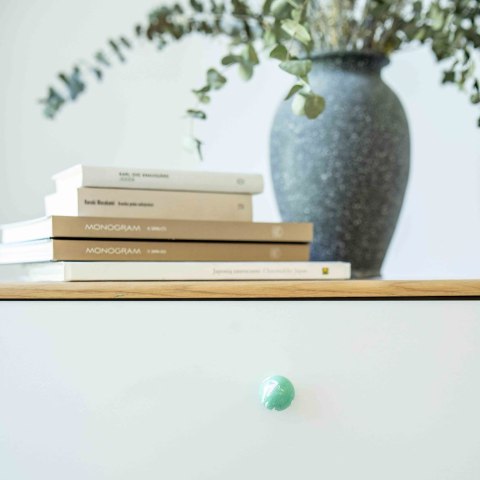 Uchwyt Meblowy Duo White Rich Green