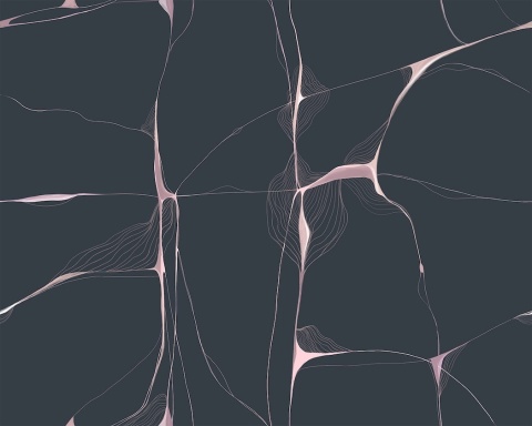 Tapeta ORGANIC LINES designerska w rolce