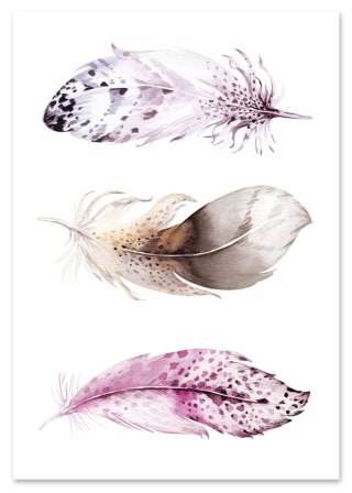 Plakat BOHO PIÓRKA AKWARELA kolor