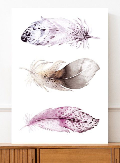 Plakat BOHO PIÓRKA AKWARELA kolor