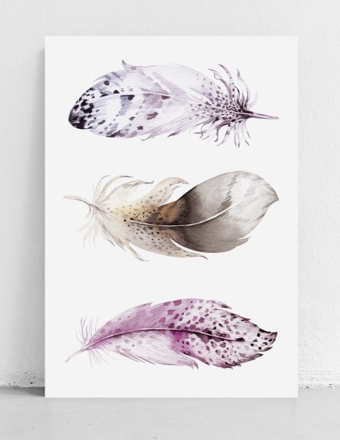 Plakat BOHO PIÓRKA AKWARELA kolor