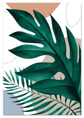 Plakat BOHO ZIELONE LIŚCIE kolor