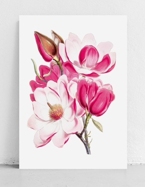Plakat BUKIET RÓŻOWYCH KWIATÓW kolor