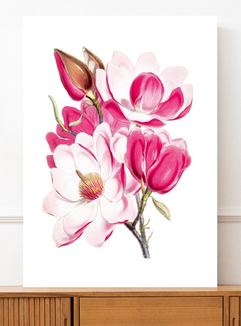 Plakat BUKIET RÓŻOWYCH KWIATÓW kolor