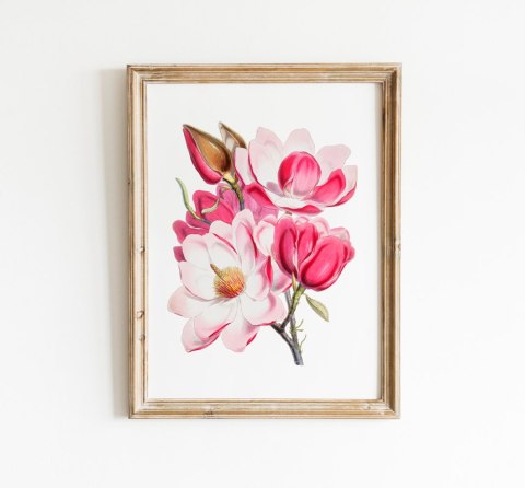 Plakat BUKIET RÓŻOWYCH KWIATÓW kolor
