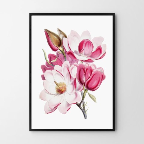 Plakat BUKIET RÓŻOWYCH KWIATÓW kolor