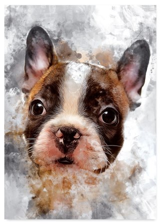 Plakat BULDOG PIES ABSTRAKCJA kolorowy