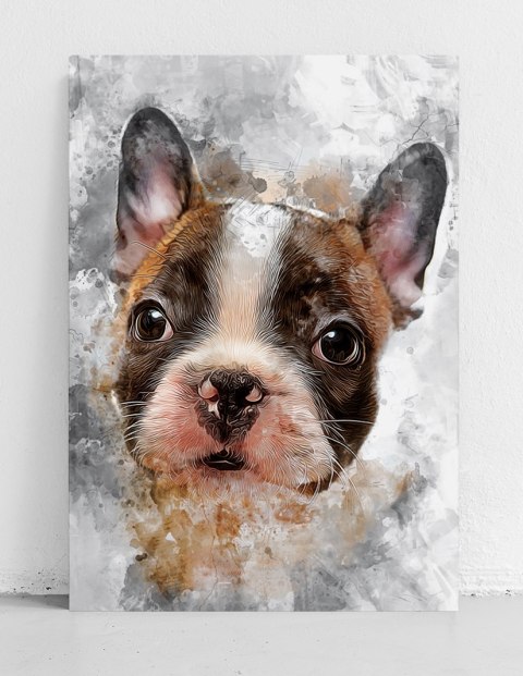 Plakat BULDOG PIES ABSTRAKCJA kolorowy