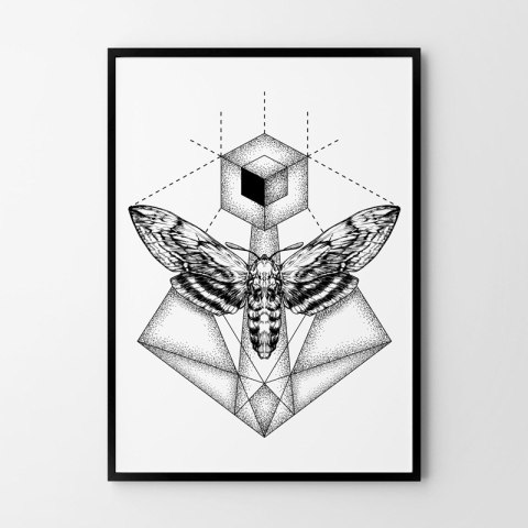 Plakat ĆMA MOTYL geometryczny czarno biały