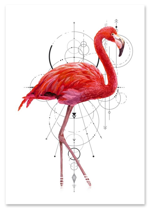 Plakat FLAMING GEOMETRIA różowy