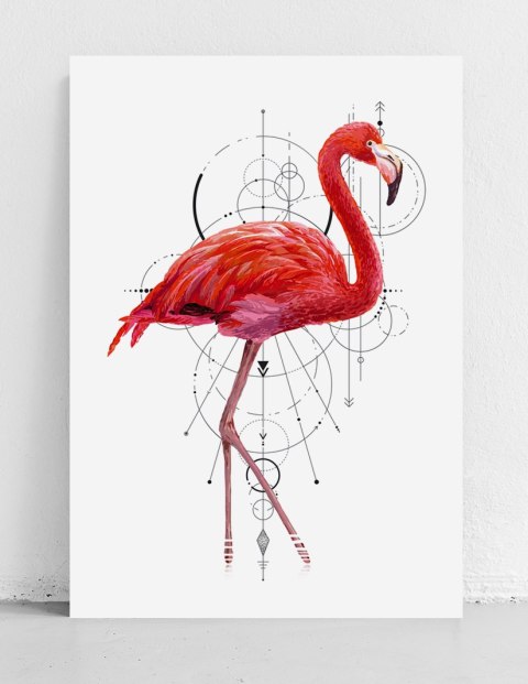 Plakat FLAMING GEOMETRIA różowy