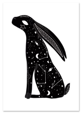 Plakat GALAKTYKA KOSMOS GWIAZDY ZAJĄC czarno biały