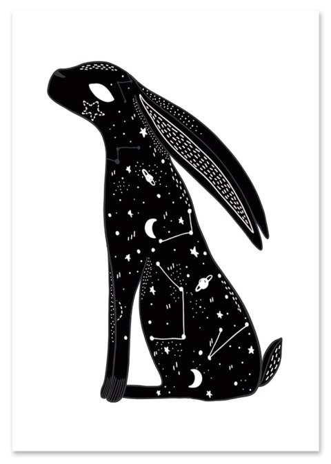 Plakat GALAKTYKA KOSMOS GWIAZDY ZAJĄC czarno biały