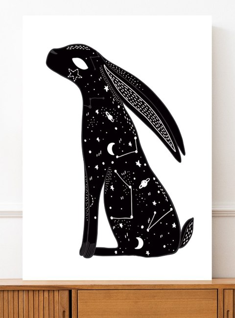 Plakat GALAKTYKA KOSMOS GWIAZDY ZAJĄC czarno biały