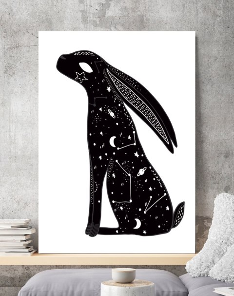 Plakat GALAKTYKA KOSMOS GWIAZDY ZAJĄC czarno biały