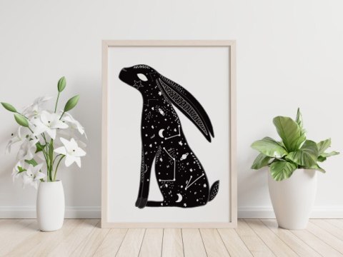 Plakat GALAKTYKA KOSMOS GWIAZDY ZAJĄC czarno biały