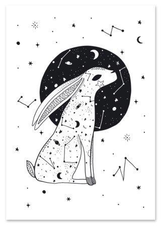 Plakat GWIEZDNY ZAJĄC LUNA czarno białe