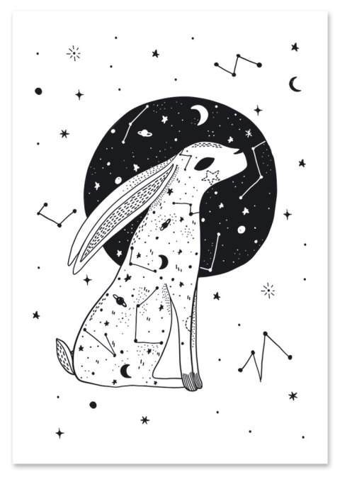 Plakat GWIEZDNY ZAJĄC LUNA czarno białe