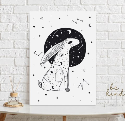 Plakat GWIEZDNY ZAJĄC LUNA czarno białe