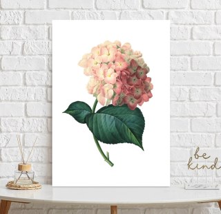 Plakat HORTENSJA VINTAGE kolor