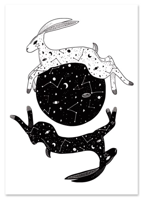 Plakat KOSMICZNE ZAJĄCE czarno białe