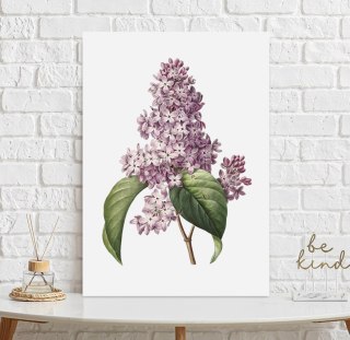 Plakat KWIAT BZU VINTAGE PLAKATY kolor