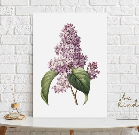 Plakat KWIAT BZU VINTAGE PLAKATY kolor