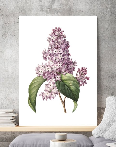 Plakat KWIAT BZU VINTAGE PLAKATY kolor