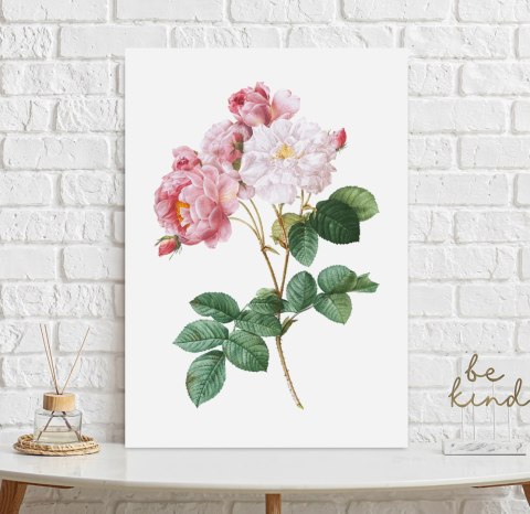 Plakat KWIAT RÓŻA VINTAGE kolor