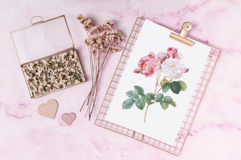 Plakat KWIAT RÓŻA VINTAGE kolor