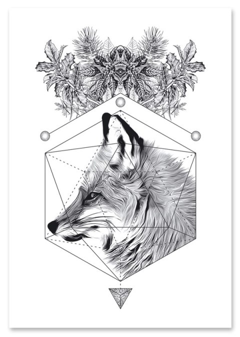 Plakat LIS czarno biały