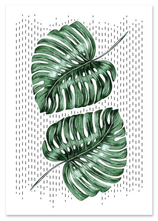 Plakat MONSTERA LIŚCIE zielony