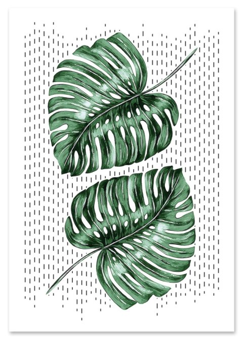 Plakat MONSTERA LIŚCIE zielony