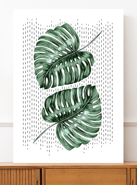 Plakat MONSTERA LIŚCIE zielony