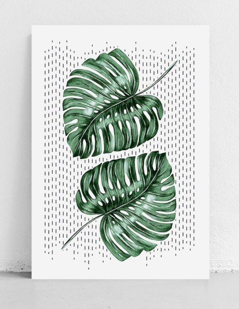 Plakat MONSTERA LIŚCIE zielony